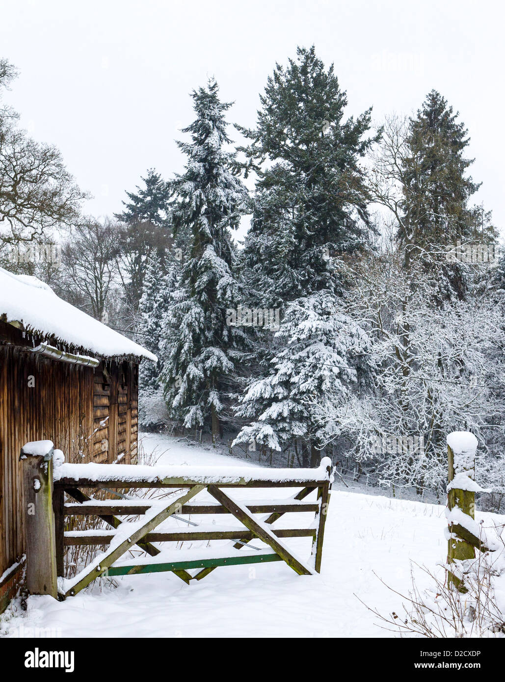 Eine fünf-Bar gate im Schnee, öffnet sich ein Feld Stockfoto