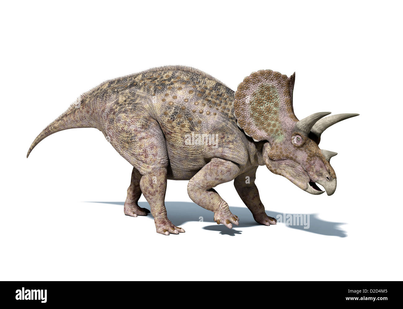 Triceratops Dinosaurier Computer Grafik, die dieser pflanzenfressenden Dinosaurier in der Kreidezeit lebte Stockfoto