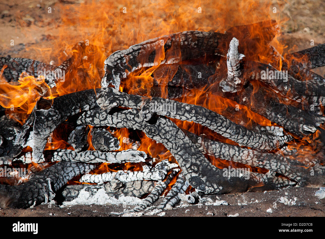 Detail des brennenden Holzes Stockfoto