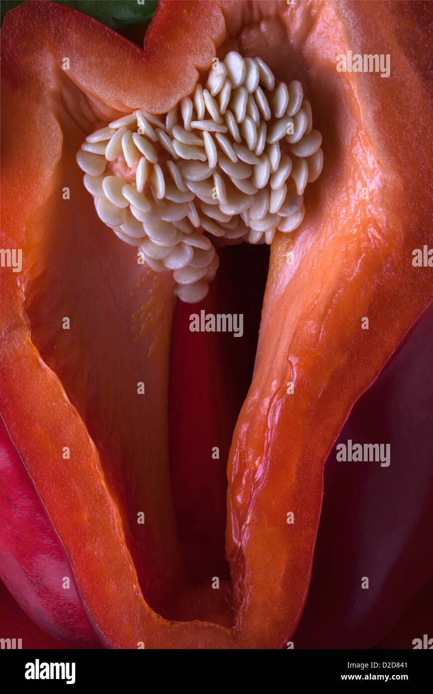 Eine suggestive aussehende Querschnitt eine Paprika, Nahaufnahme, full-frame Stockfoto