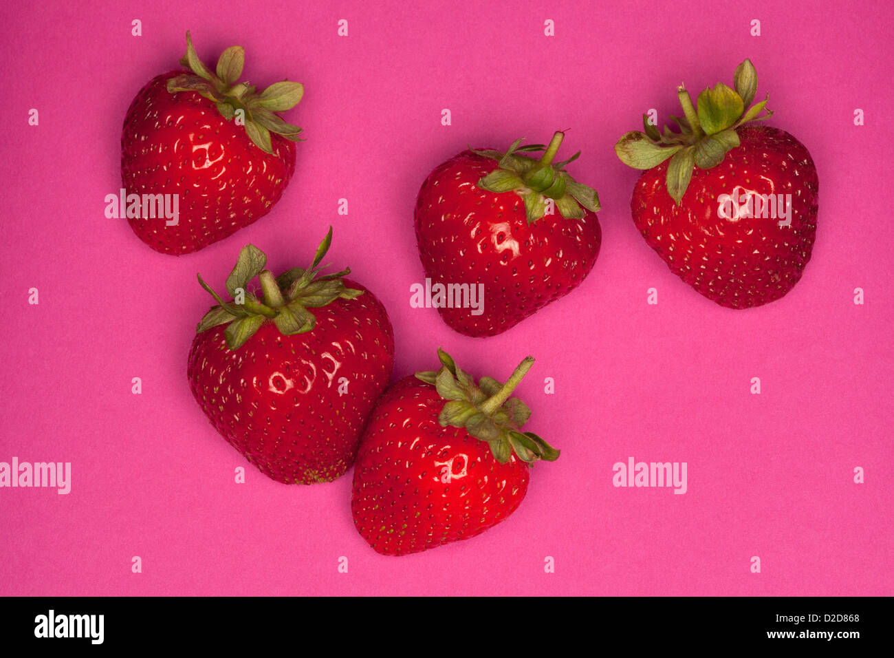 Fünf Erdbeeren auf einem rosa Hintergrund Stockfoto