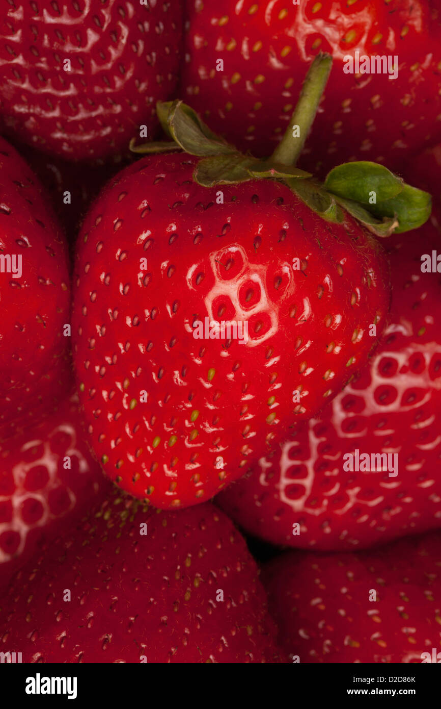Eine Handvoll Erdbeeren, Nahaufnahme, full-frame Stockfoto