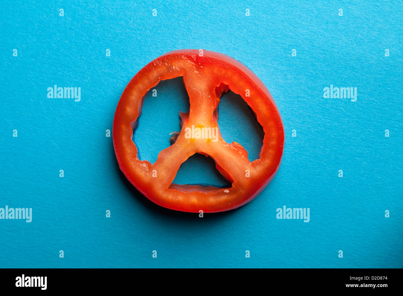 Eine gesetzte Scheibe Tomate auf blauem Hintergrund Stockfoto