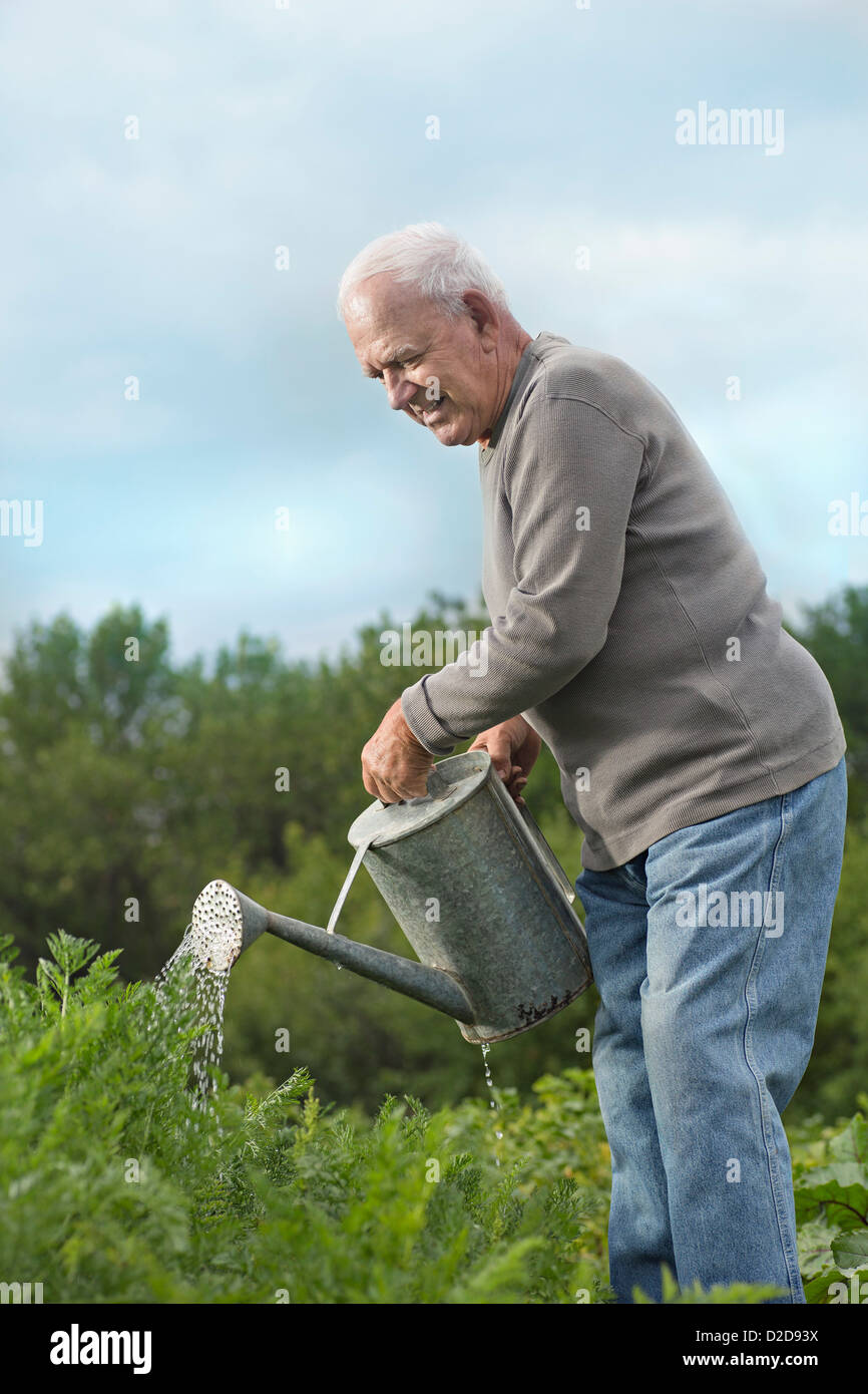 Ein senior woman Bewässerung von Pflanzen in seinem Garten Stockfoto