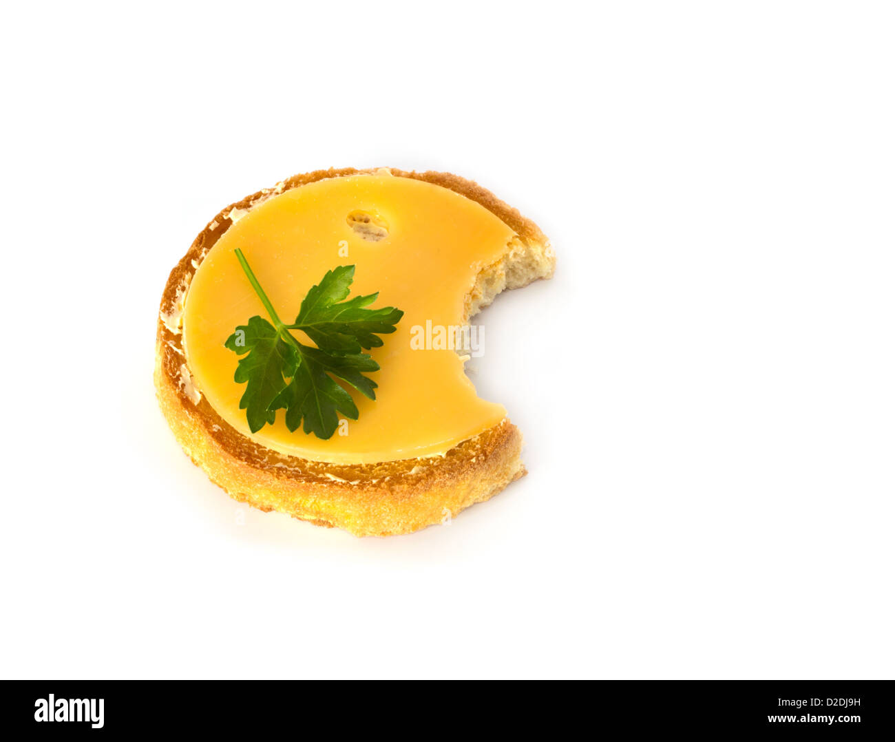 Niederländische runden Keks mit Käse und Petersilie mit einem Biss Stockfoto