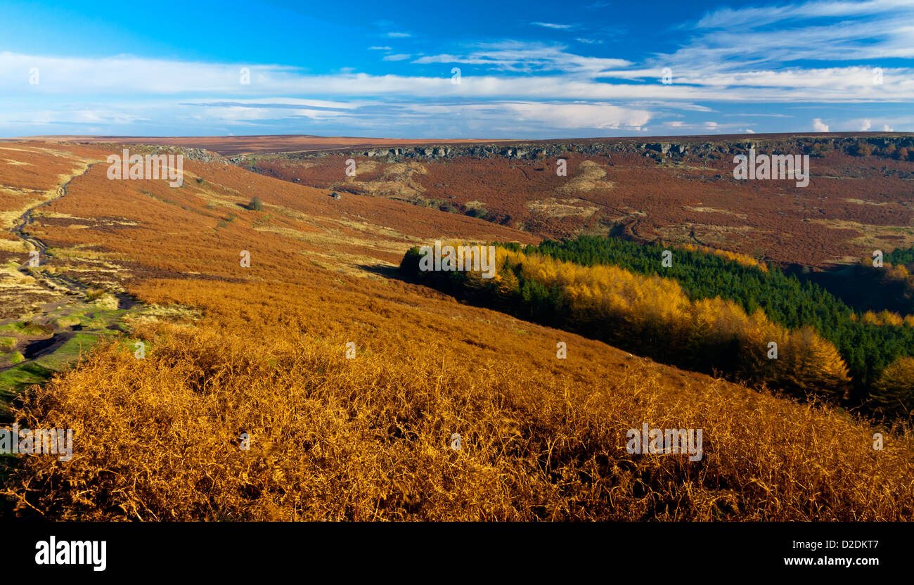 Herbstlandschaft bei Burbage Felsen in der Nähe von Hathersage im Peak District Nationalpark Derbyshire England UK mit Heidekraut moorland Stockfoto