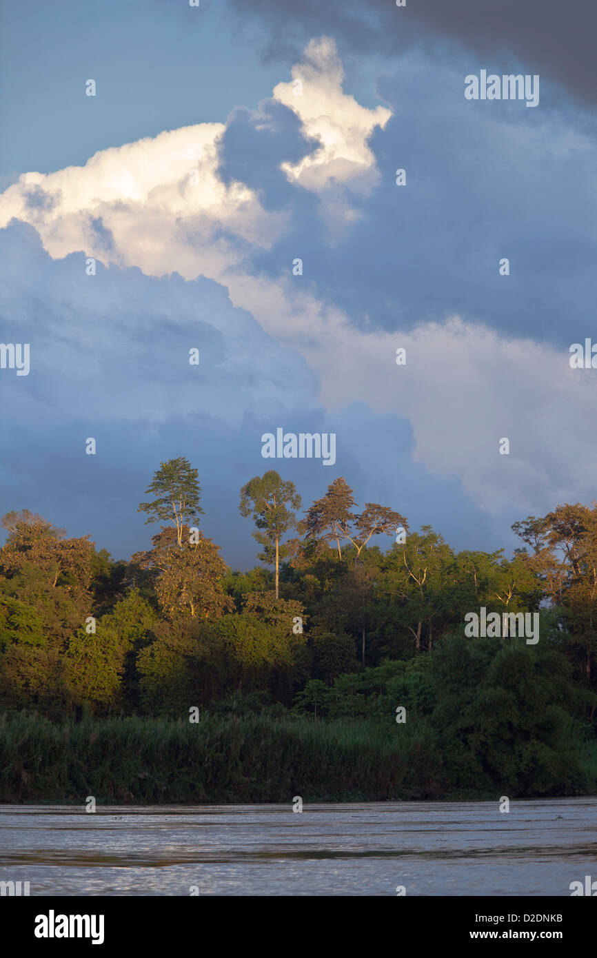 Malaysia, Borneo, Sabah State, Kinabatangan Fluss Stockfoto