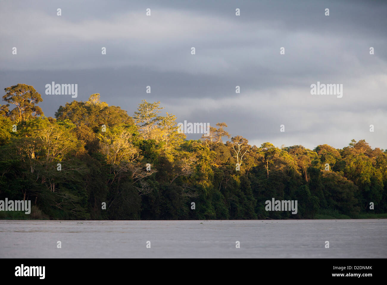 Malaysia, Borneo, Sabah State, Kinabatangan Fluss Stockfoto