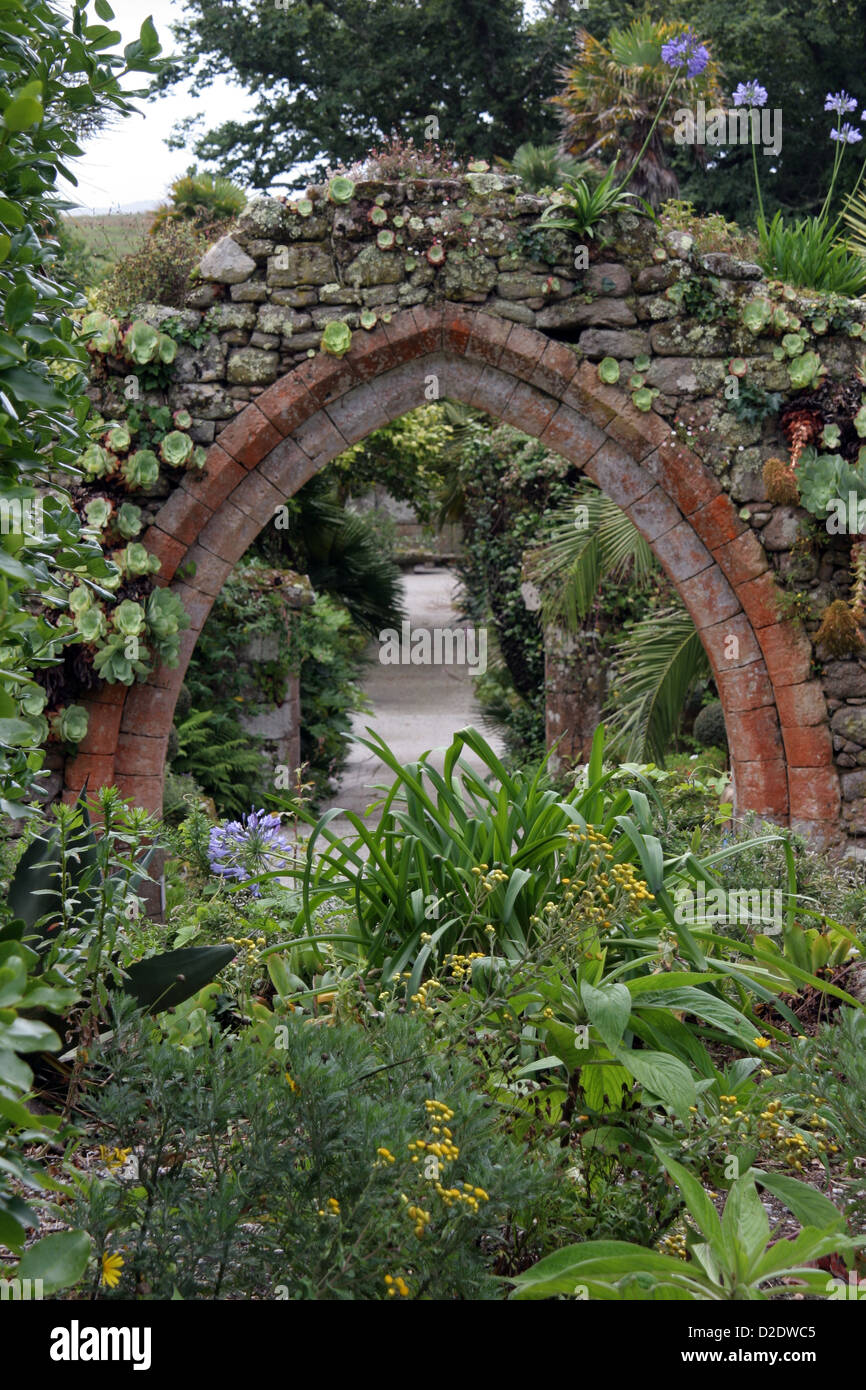 Klostergarten Isles of Scilly Tresco Stockfoto