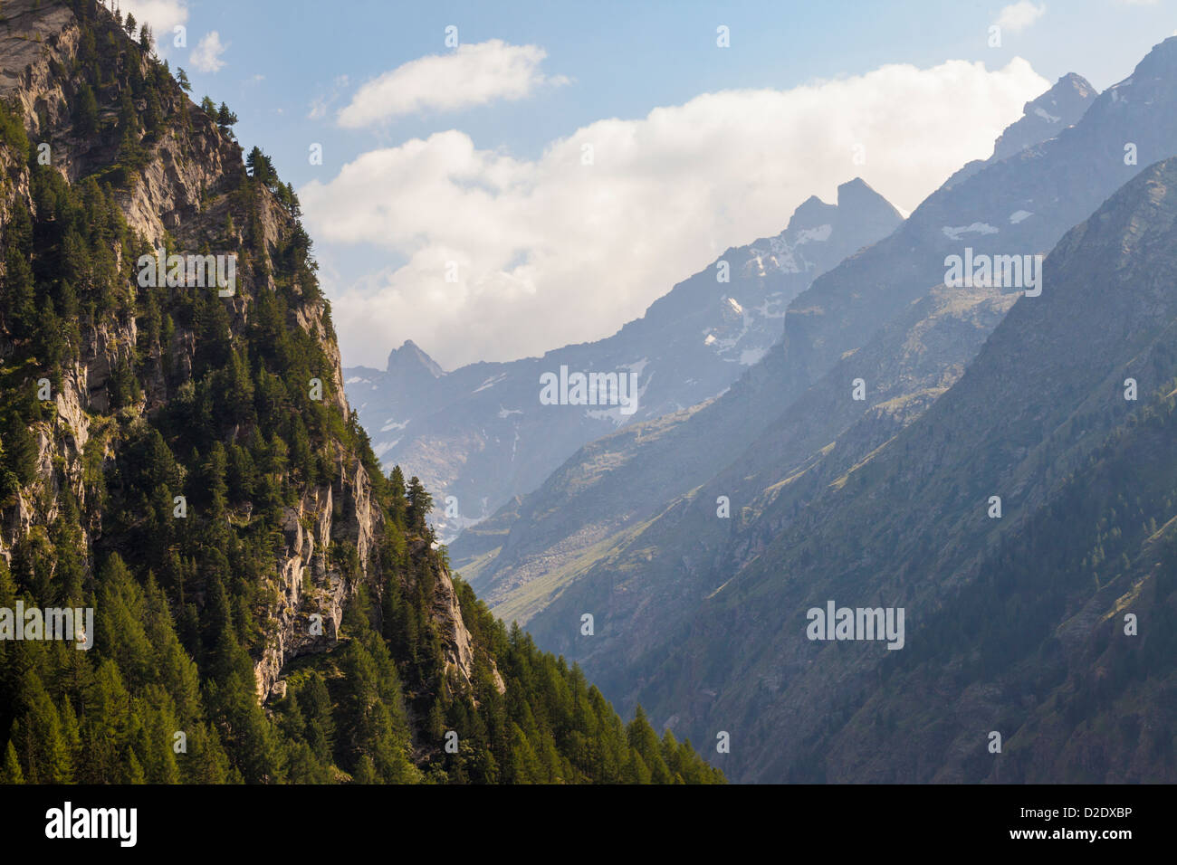 Nationalpark Gran Paradiso, Aostatal, Walliser Alpen, Italien. Juli. Stockfoto