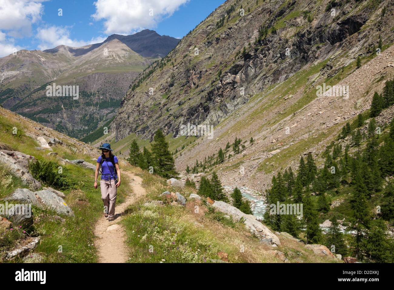 Wanderer im Nationalpark Gran Paradiso, Aosta-Tal, Walliser Alpen, Vallone di Valelle, Italien. Juli. Stockfoto