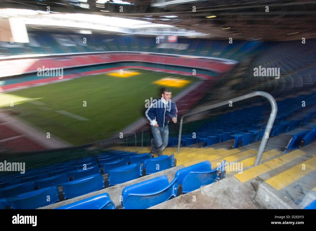 WALISER Boxer im Millennium Stadium in Cardiff, UK. Stockfoto