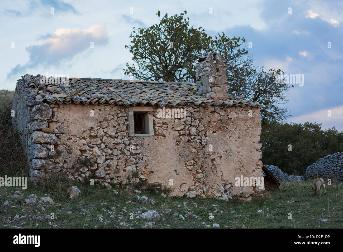 Blick auf eine Ruine-Bauernhof in den Gargano Halbinsel, Puglia, Apulien, Italien Stockfoto