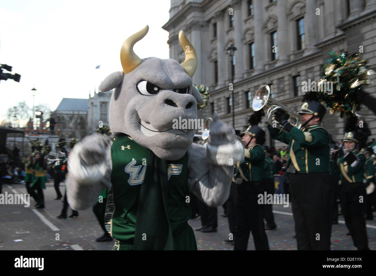 New Years Day Parade in London 2013 mit der marching band von Südflorida. Rocky der Stier (manchmal wie eine volle Namen geschrieben, komplett mit mittlerer initial, felsigen D. Bullen) ist das Maskottchen von der Universität von South Florida's USF Bulls Athletik. Er ist ein Anthropomorphized Stier, die typischerweise in der USF athletische Gang gekleidet - normalerweise ein Fußball oder Basketball Jersey, gelegentlich aber andere Kleidung wie eine USF-T-Shirt. Stockfoto