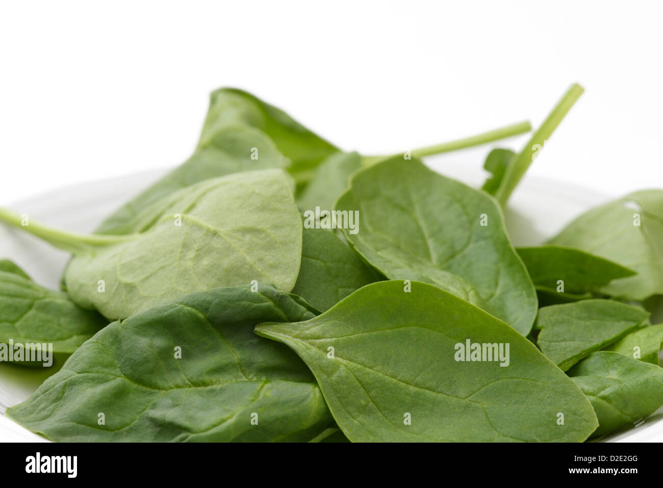 Spinat, Spinacia Oleracea, Blätter auf einem Teller Stockfoto