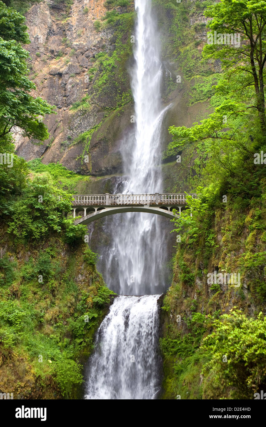 Multnomah Falls und der berühmten Benson Fussgängerbrücke in der Columbia River Gorge National Scenic Bereich, Oregon. Stockfoto