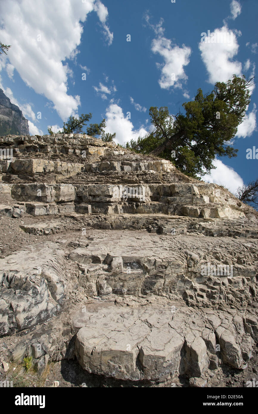 FELSEN SCHICHTEN BANFF ALBERTA KANADA Stockfoto