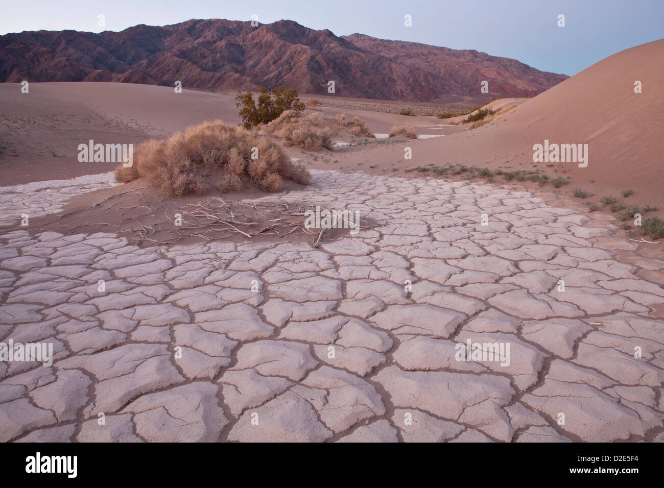 Ein Steinmuster in Mesquite flachen Dünen nahe Stovepipe Wells, Death Valley Nationalpark, Kalifornien. Stockfoto
