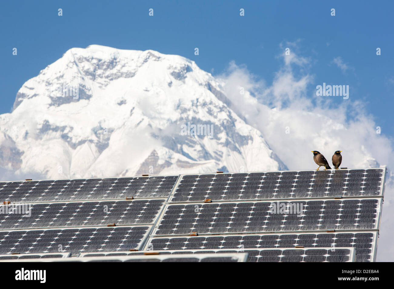 Solar Foto Photovoltaik Paneele bei Ghandruk im Himalaya, Nepal, wird verwendet, um ein Handy-Mast, mit Annapurna South macht Stockfoto