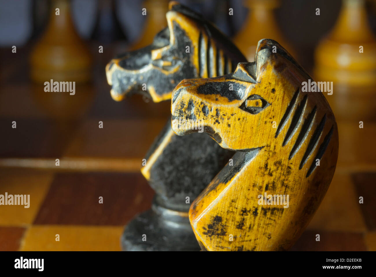 Vintage Schach Ritter Closeup; vordere Ritter im Fokus Stockfoto