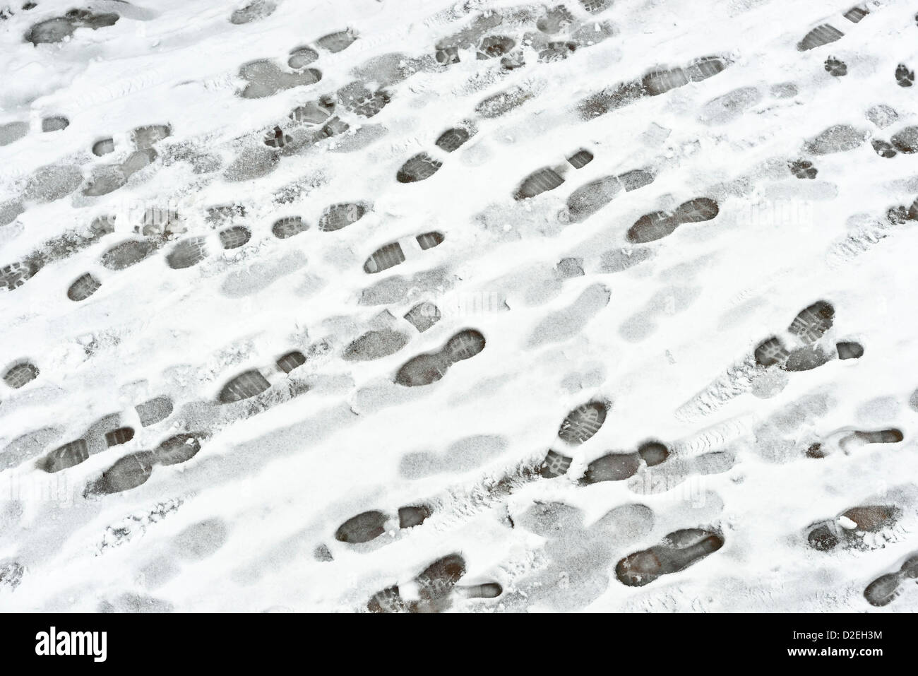 Deer footprint -Fotos und -Bildmaterial in hoher Auflösung – Alamy