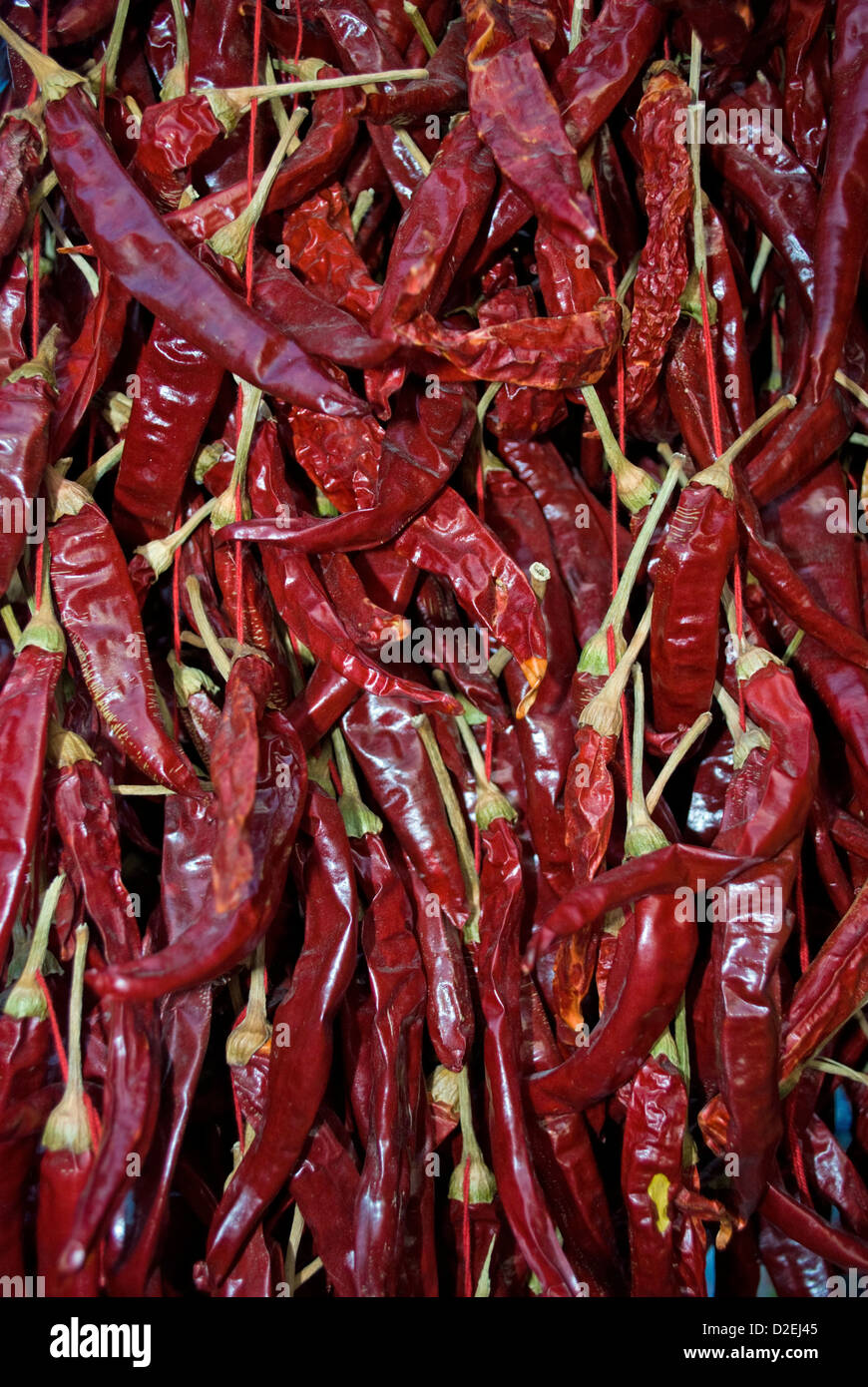 Getrocknete rote Chilis in der türkischen Küche verwendet. Stockfoto
