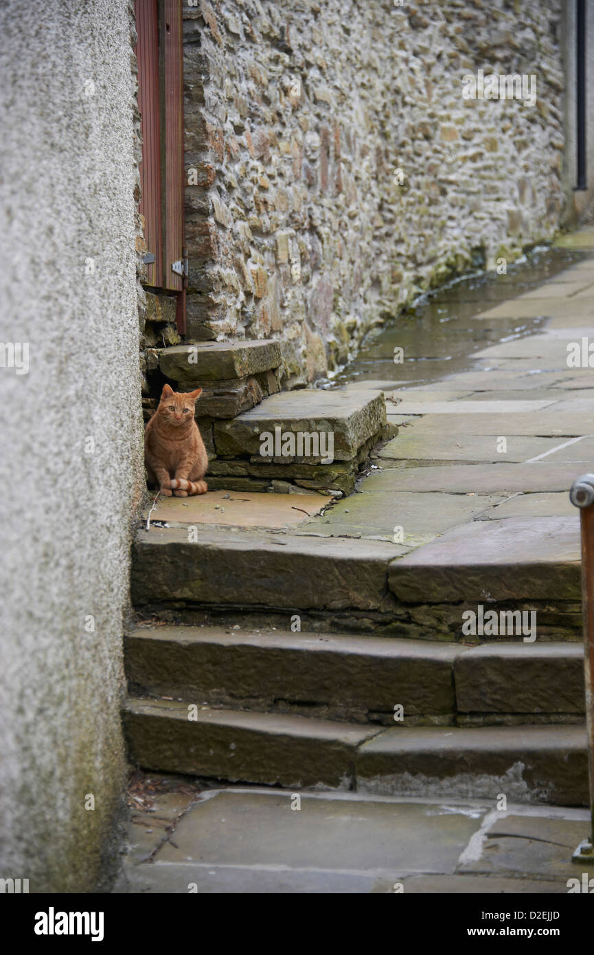 Stromness, Orkney, Norden Schottlands. Eines der vielen Gassen aufsteigen von der alten Hauptstraße. Stockfoto