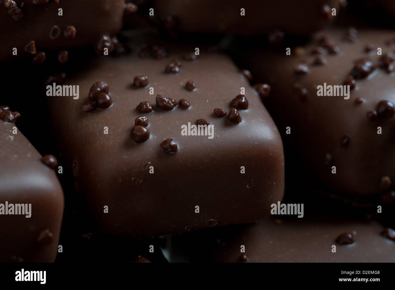 Handgemachte dunkle Schokoladen-Trüffel Stockfoto