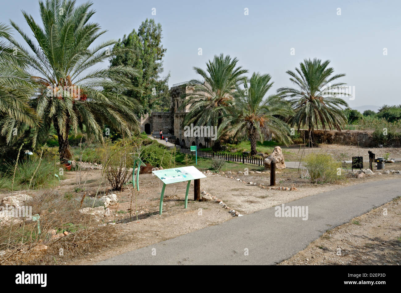 Israel, Nördlicher Distrikt Ein Afek Naturschutzgebiet am Fluss Naaman Stockfoto