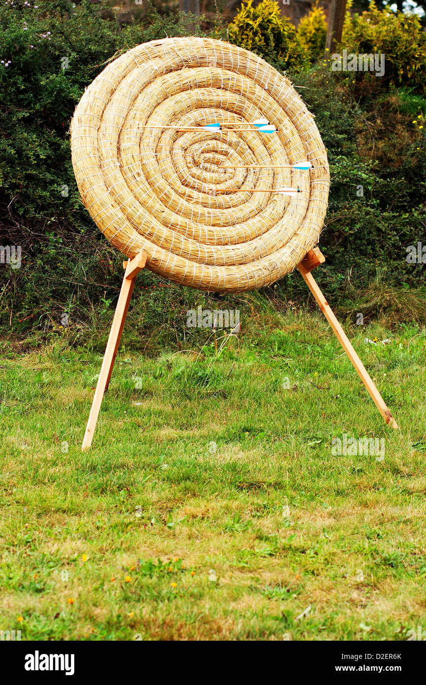 Zielscheibe Stroh Kreis mit hölzernen Pfeilen drin als Konzept Stockfoto