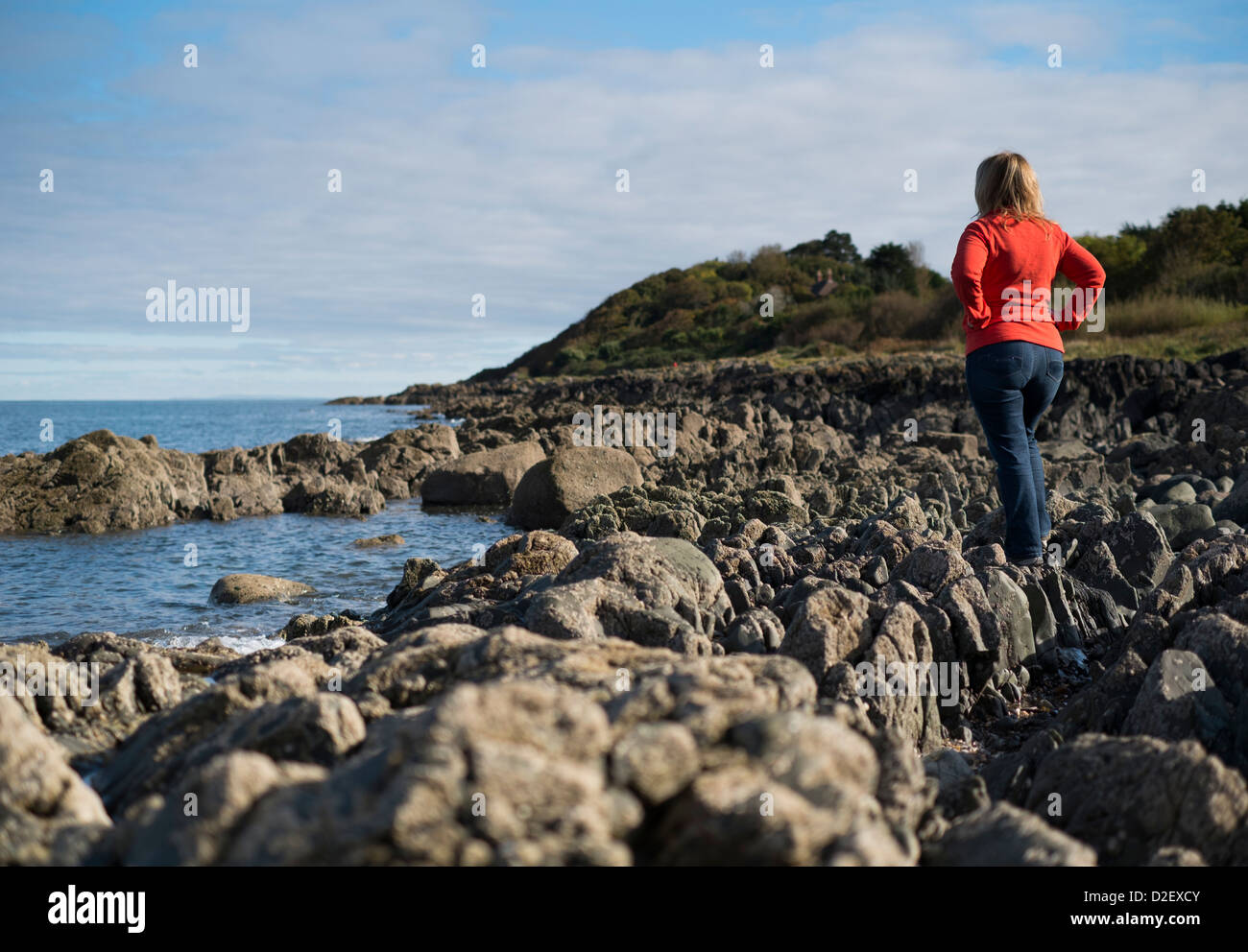 Frau stehend auf Küste Aussicht auf Belfast Lough Stockfoto