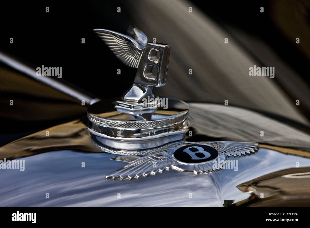 Geflügelte Kühlerfigur auf Bentley R-Type Continental Auto Stockfoto