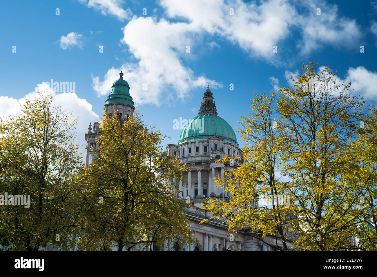 Der Belfast City Hall im Herbst Stockfoto