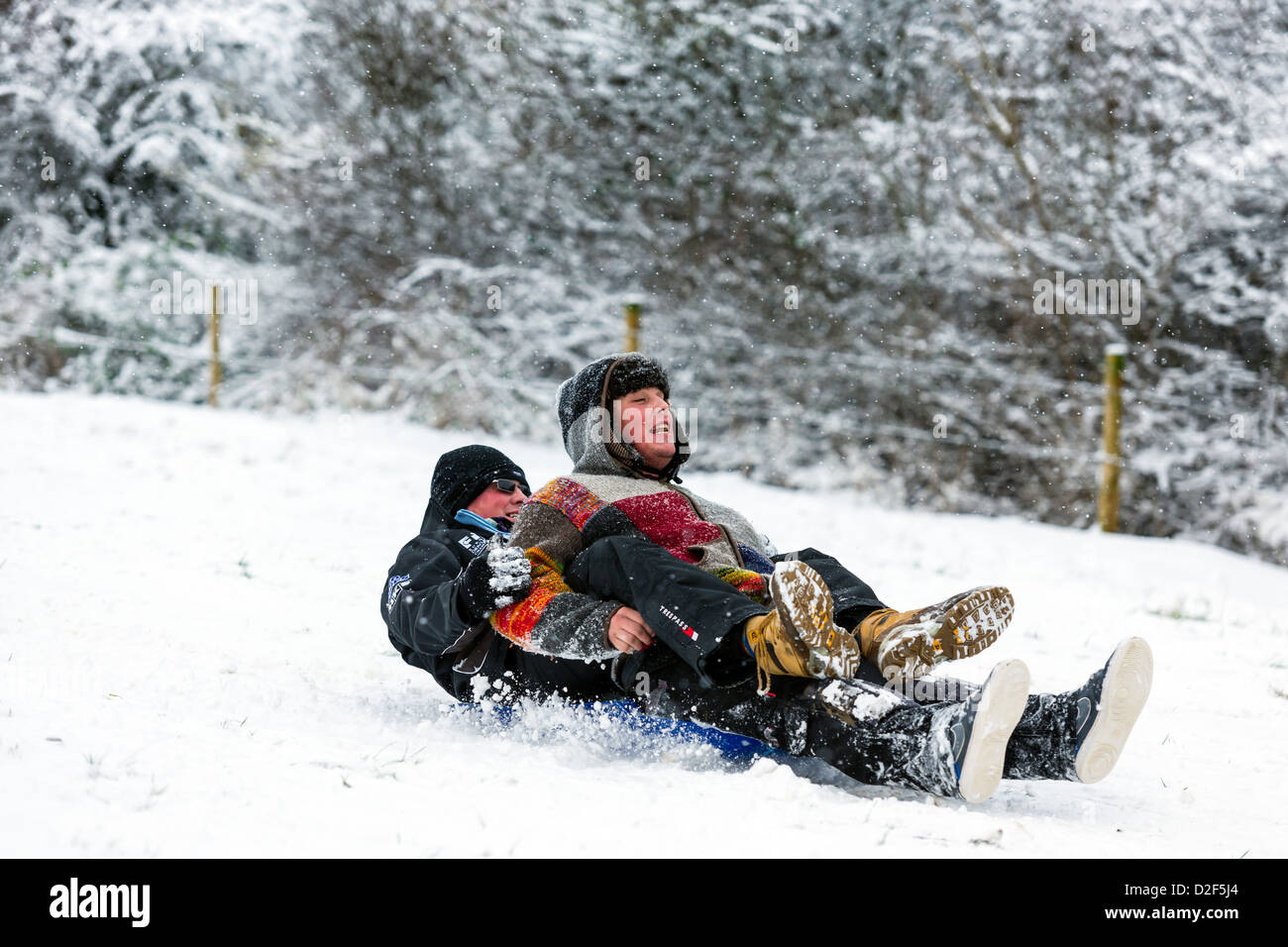 Genießen den Schnee Stockfoto