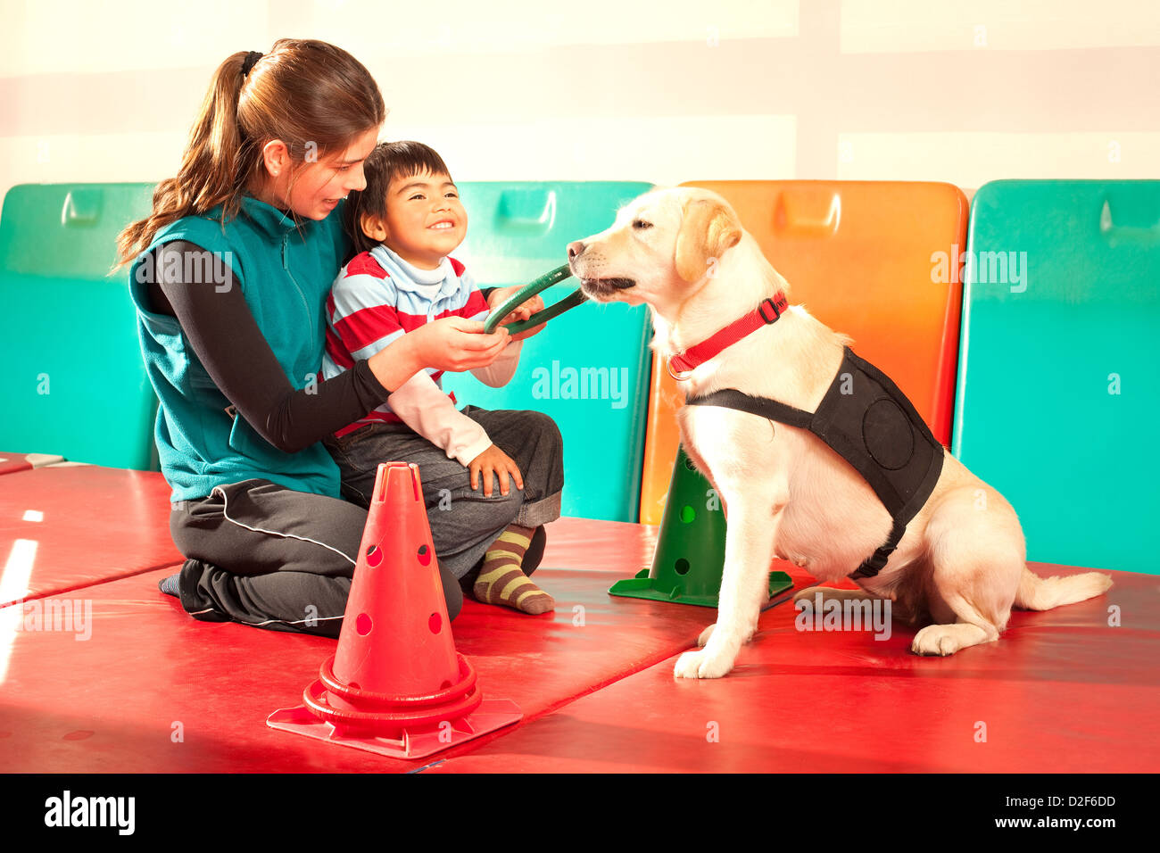 Patienten, die mit Hilfe eines ausgebildeten Hundes behandelt Stockfoto