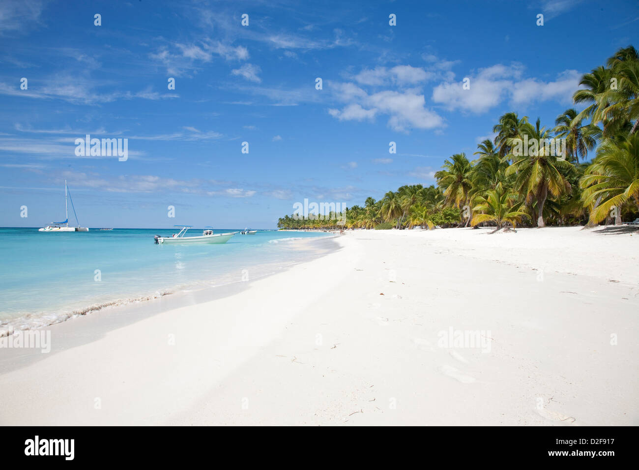 Amerika, Karibik, Insel Hispaniola, Dominikanische Republik, Isla Saona, Meer und Strand mit Palmen Stockfoto