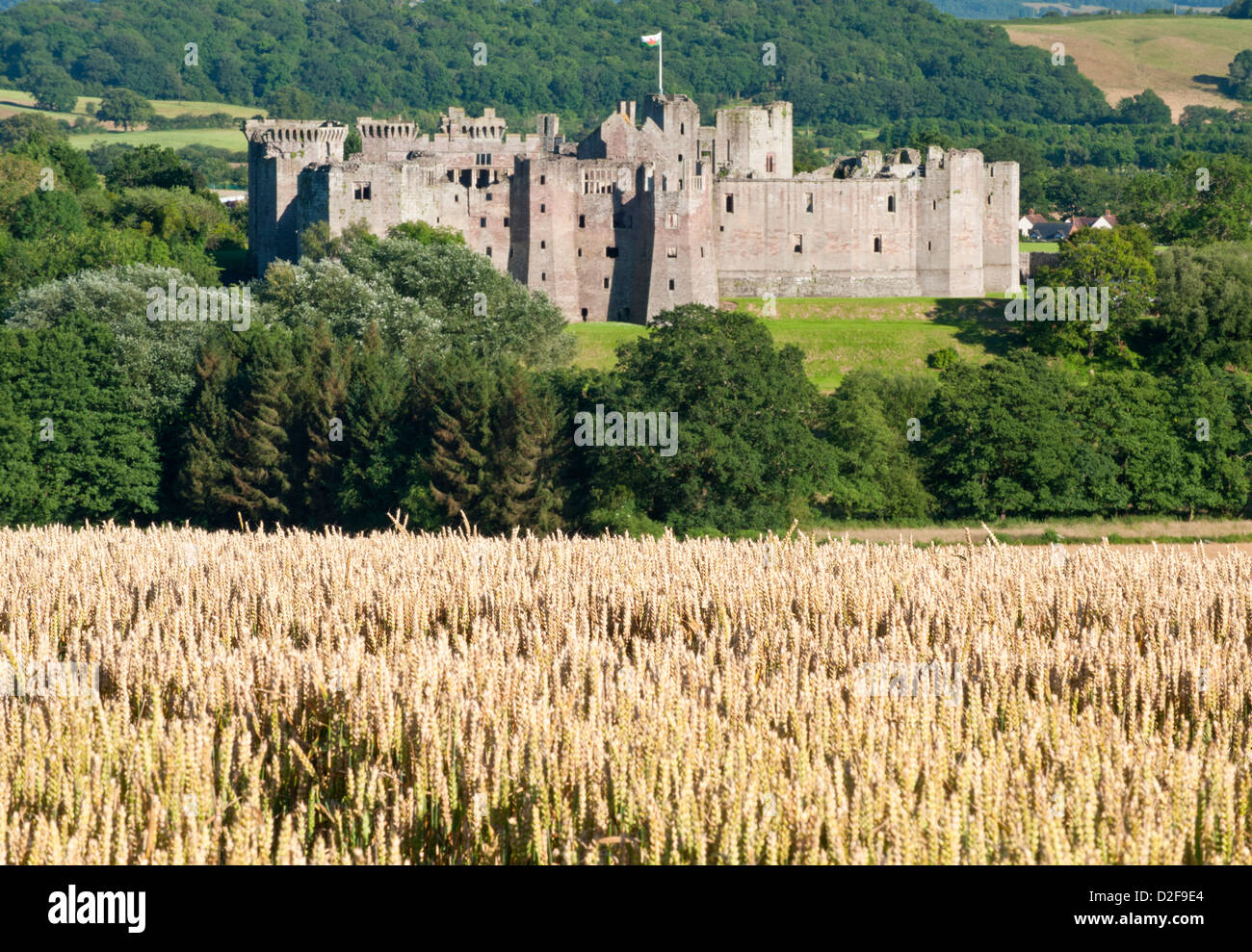 Raglan Castle im Sommer, Raglan, Monmouthshire, Süd-Wales, UK Stockfoto