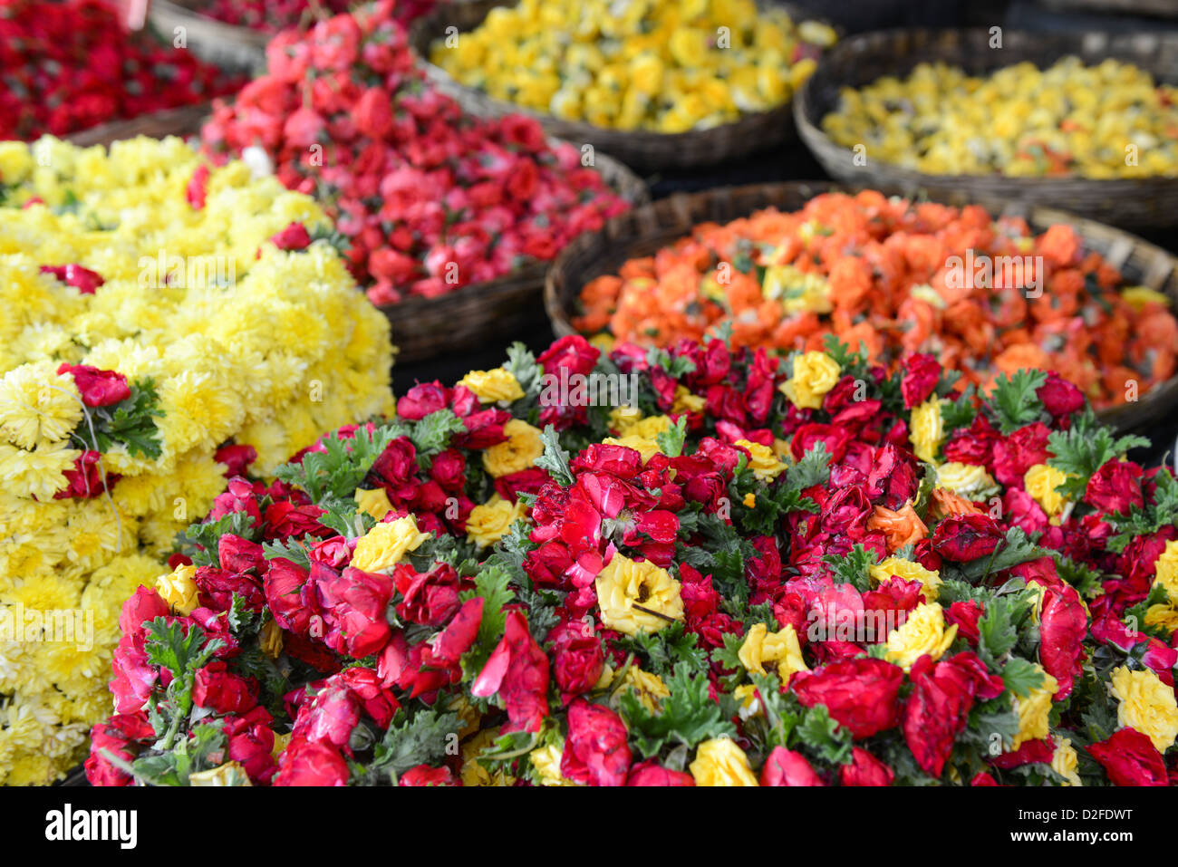 Rosen zum Verkauf an Indian Flower Market Stockfoto