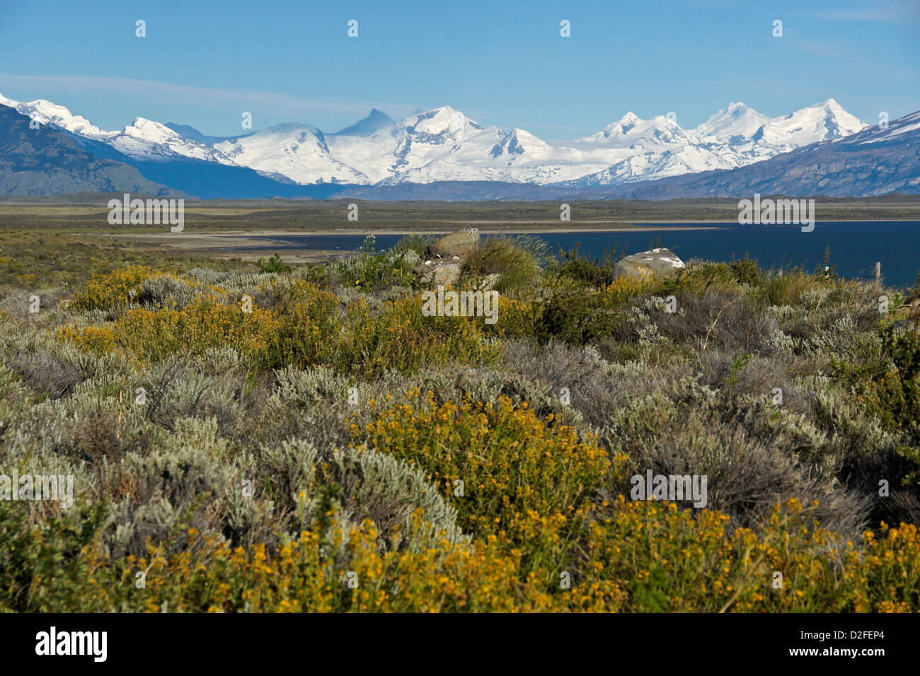 Anden und Lago Argentino, Patagonien, Argentinien Stockfoto