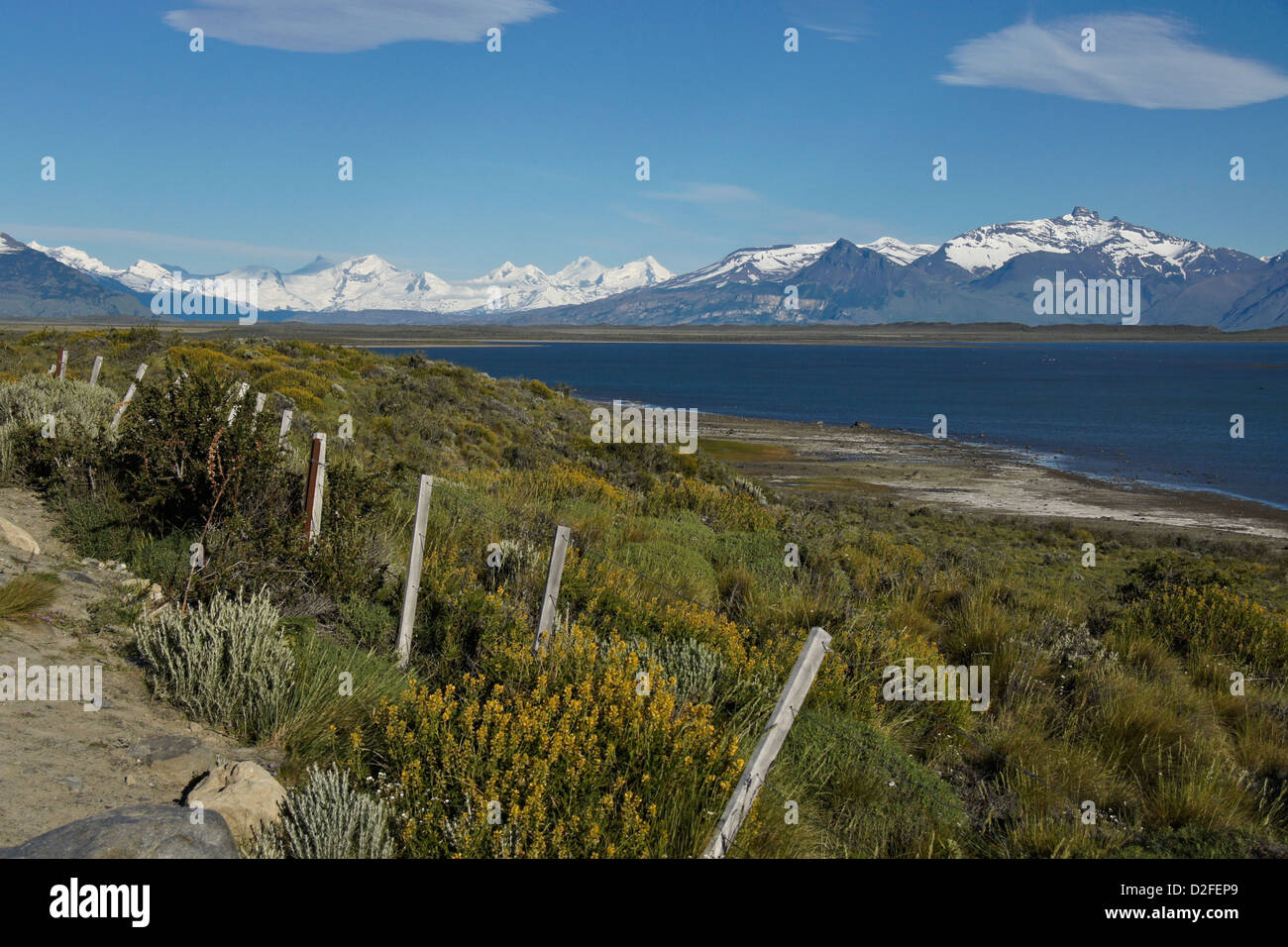 Anden und Lago Argentino, Patagonien, Argentinien Stockfoto