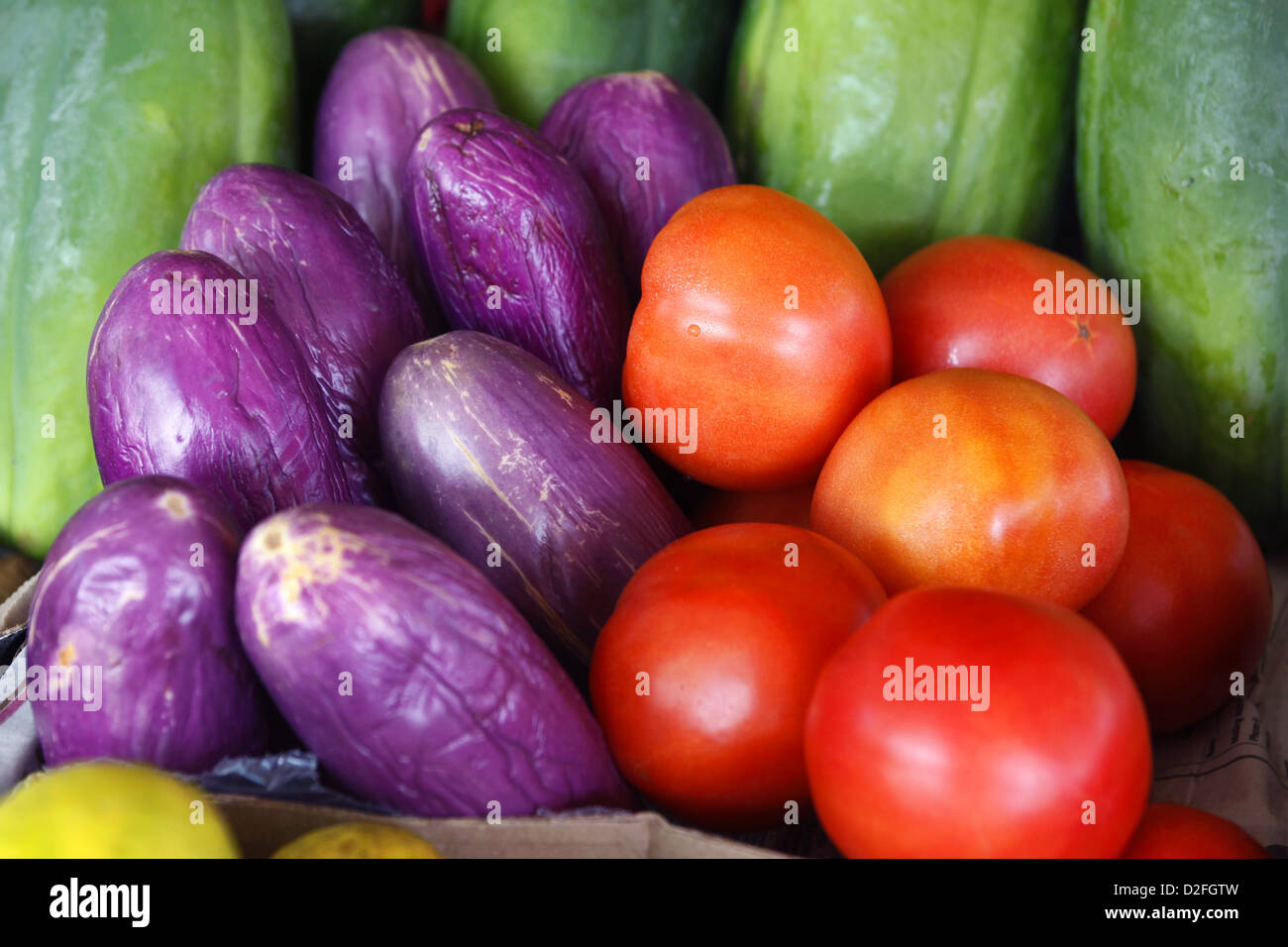 Auberginen / Auberginen und Tomaten, St. Thomas, Amerikanische Jungferninseln, Caribbean Stockfoto