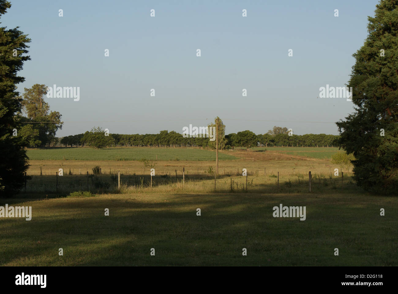 Argentinische Landschaft Stockfoto