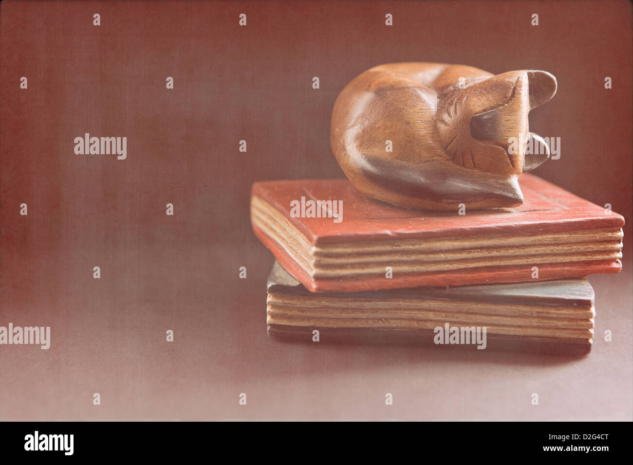 Stillleben-Bild einer Katze schlafen auf Bücher. Stockfoto