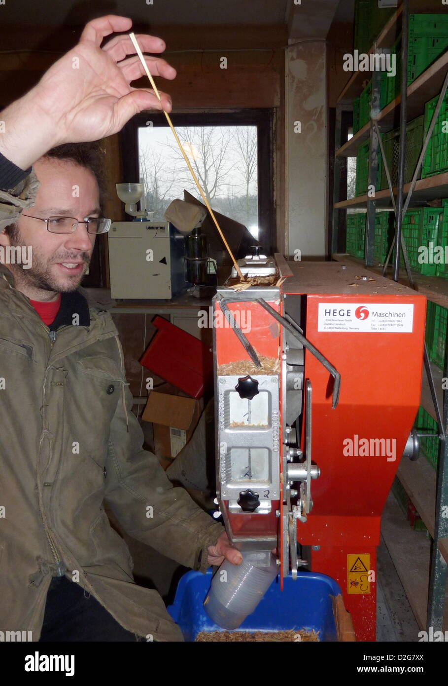 Alexander Ptok des Samens Herstellung Team der Dottenfelderhof stellt von einem einzelnen Rispe Sommer Hafer in einer kleinen Dreschmaschine in Bad Vilbel, Deutschland, 8. Januar 2013. Der Saatguthersteller von Dottenfelderhof arbeiten derzeit an einer neuen Art von Hafer für den ökologischen Landbau. Foto: Klaus Nissen Stockfoto