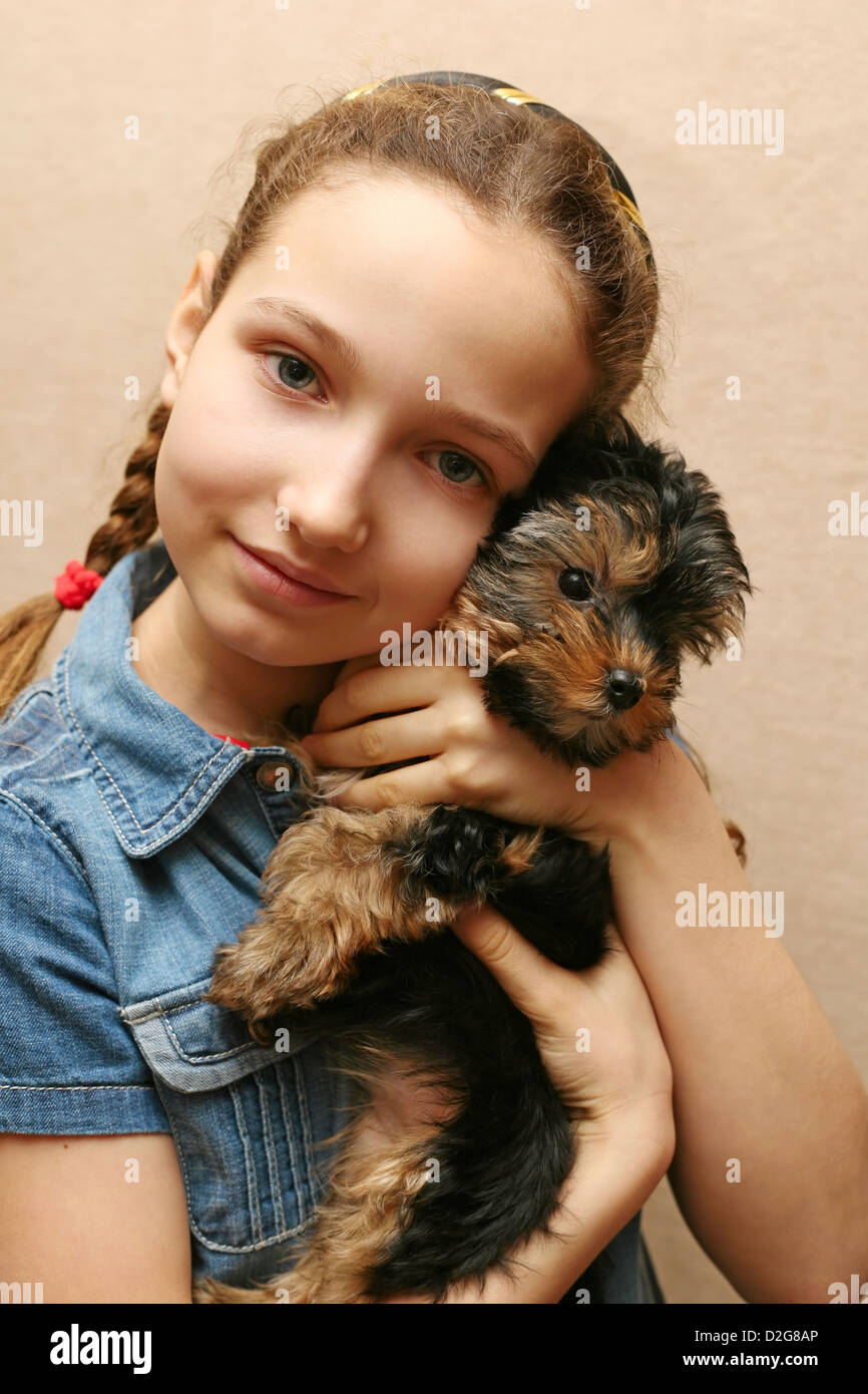 Das Mädchen umarmt der Yorkshire-Terrier Welpen Stockfoto