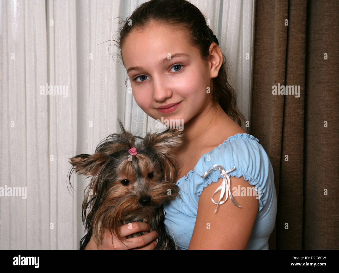 Das Mädchen umarmt der Yorkshire-Terrier Welpen Stockfoto
