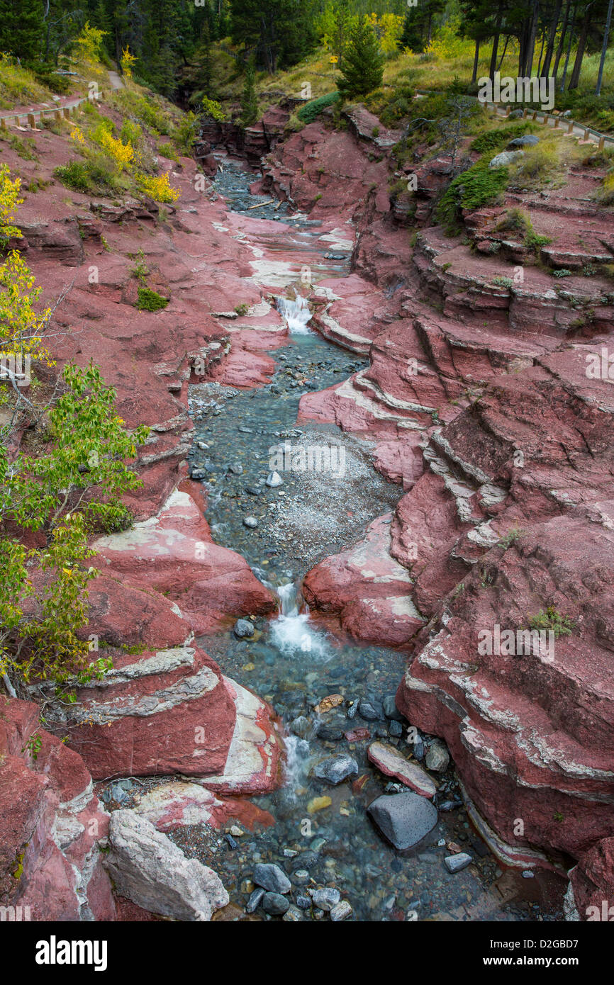 Klarem Wasser der Bach fließt aber Red Rock Canyon in Waterton Lakes National Park in Alberta Kanada Stockfoto