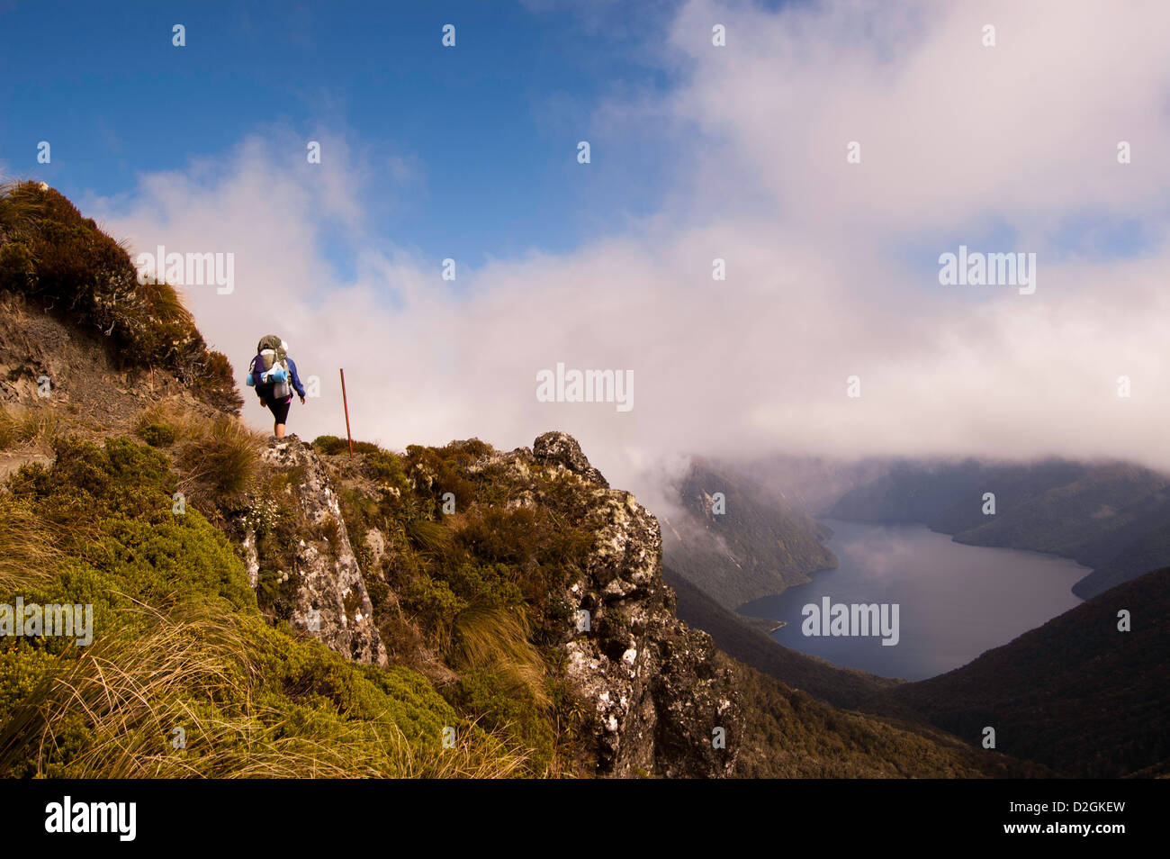 Blick vom Kepler Track Blick auf Lake Te Anau Stockfoto