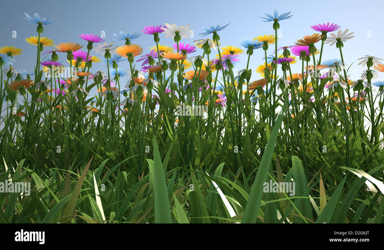 Nahaufnahme von einer Wiese, viele bunte Blumen, von einer Seite mit enger Rasen gesehen. Stockfoto
