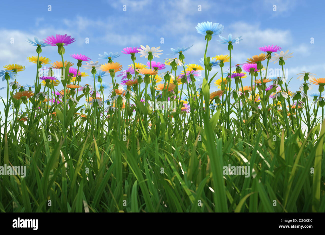 Nahaufnahme des Grases abgelegt, viele bunte Blumen, von einer Seite mit enger Rasen gesehen. Stockfoto